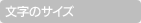 文字のサイズ
