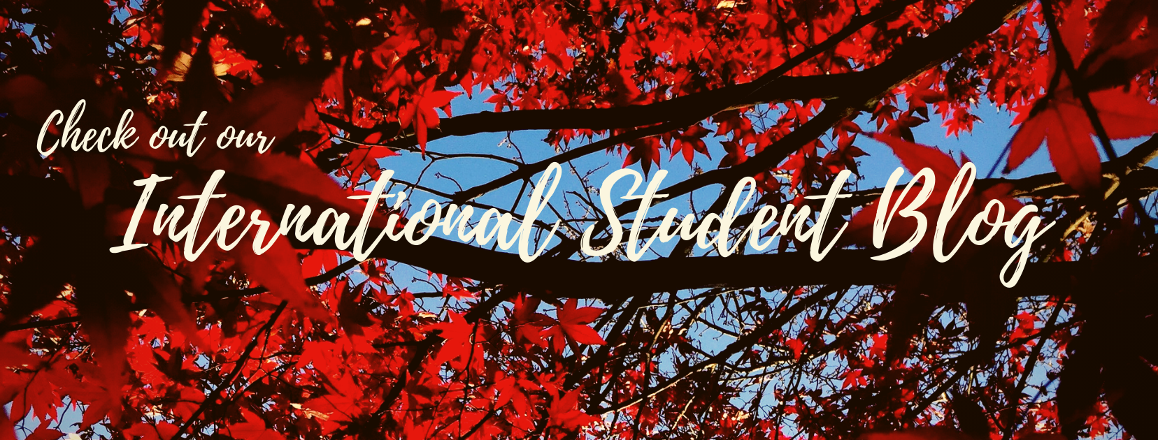 INTERNATIONAL　STUDENT BLOG
