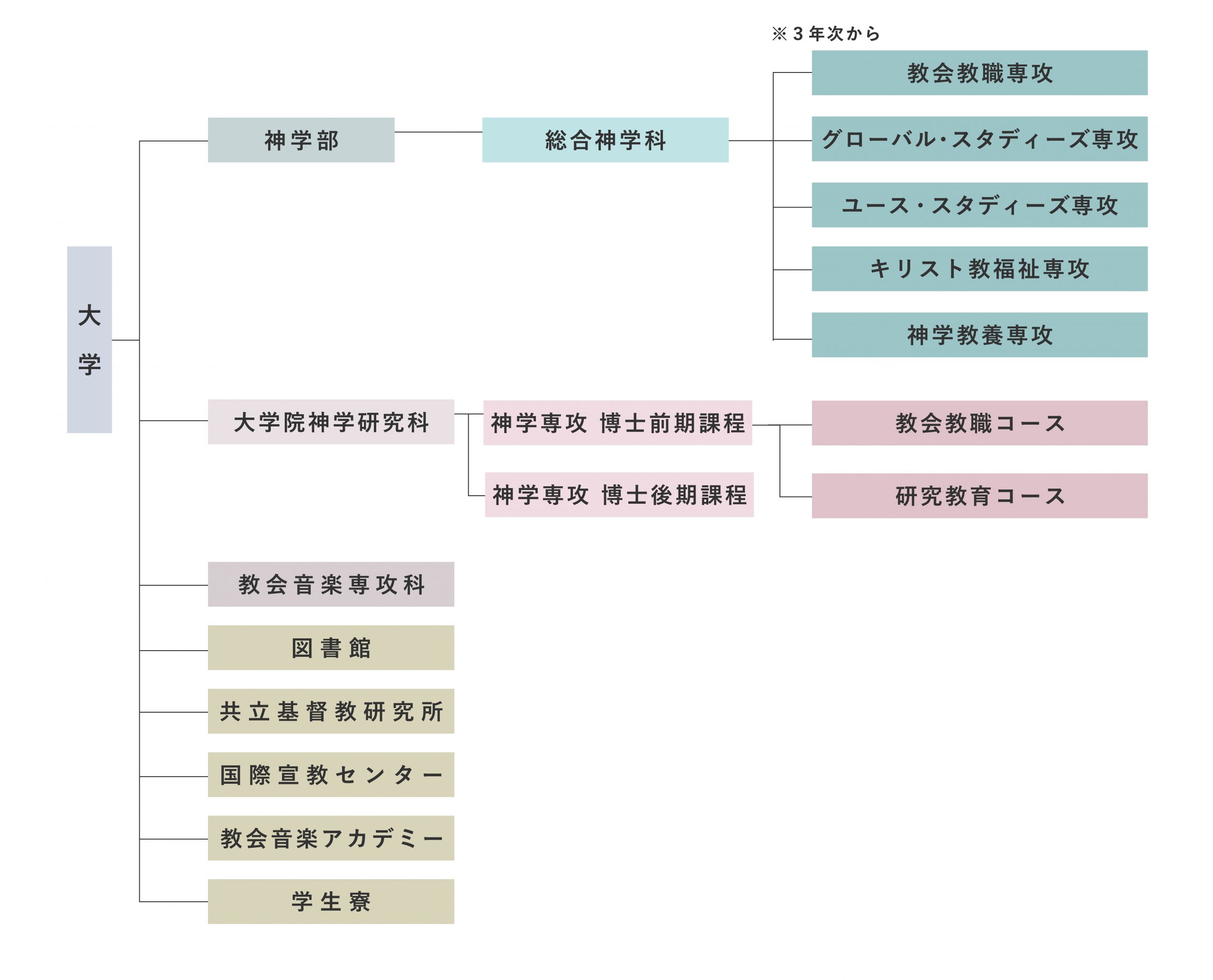 TCU組織図